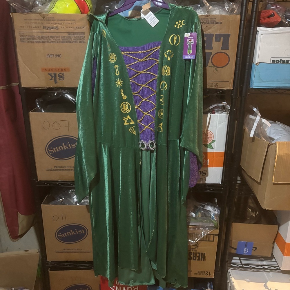 Disney Adult Halloween Costume Winifred Sanderson Size 1X NWT